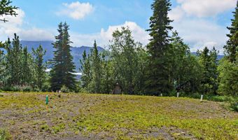 29601 W Glenn Hwy, Chickaloon, AK 99674