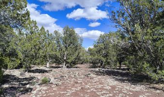 0 Westwood Rnch, Ash Fork, AZ 86320