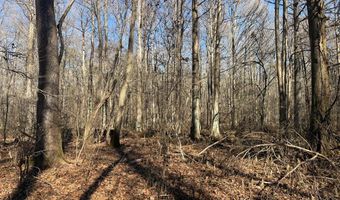 Cr 127, Abbeville, MS 38601