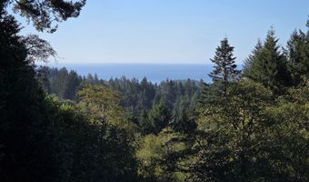 96420 ALDER RIDGE Rd, Brookings, OR 97415