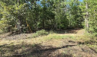 HURT HOLLOW RD, Banco, VA 22711