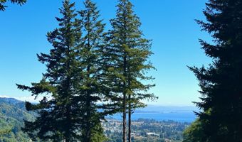 16945 PACIFIC VIEW Dr, Brookings, OR 97415