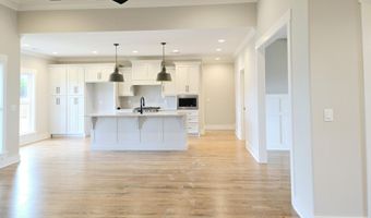 10613 Kavya Ln 89, Apison, TN 37302