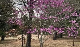 1183 Romia, Achille, OK 74726
