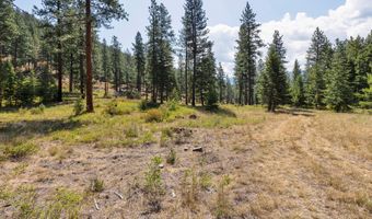 13902 Highland Trl, Alberton, MT 59820