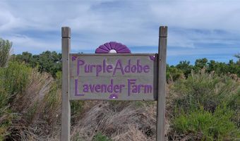 PURPLE ADOBE LAVENDER FARM 25 Private Drive 1622, Abiquiu, NM 87510
