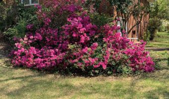 4728 PITTS Ave, Anniston, AL 36206