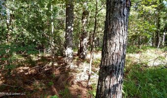 330 County Road 245, Abbeville, MS 38601