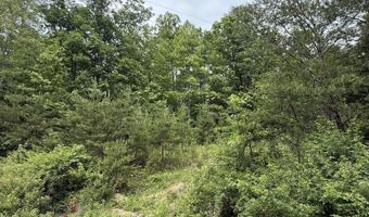 Ashland Camp Loop lot 165, Beattyville, KY 41311