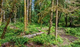 64601 E BRIGHTWOOD LOOP Rd, Brightwood, OR 97011