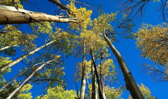 1 The Ranch At Angel Fire, Angel Fire, NM 87710