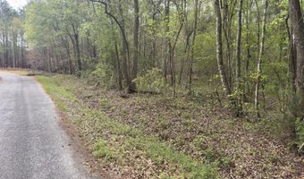 Tract 5 Smith Lane, Bowman, SC 29018
