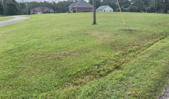 CANEY BRANCH Rd lot 34, Adamsville, TN 38310