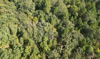 7 N Hall Rd, Antlers, OK 74523