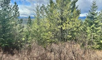 NNA Quiet Heights Rd, Athol, ID 83801