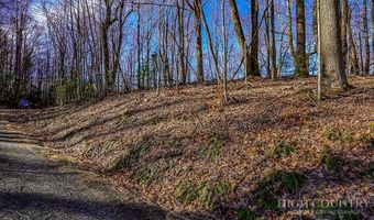 Little Tree Lane, Banner Elk, NC 28604