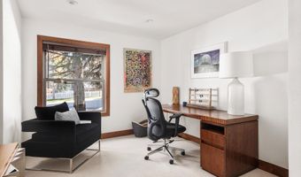 602 W Hallam St, Aspen, CO 81611