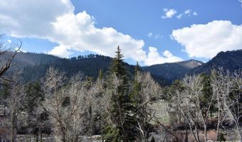32370 Poudre Canyon Rd, Bellvue, CO 80512