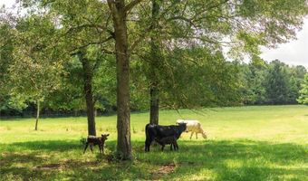 27050 County Road 70, Andalusia, AL 36421