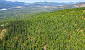NNA USFS 2550 40 acres, Blanchard, ID 83804