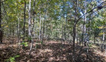 County Road 204, Alton, MO 65606
