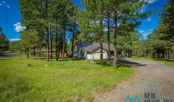 151 Alto Pines Trl, Alto, NM 88312