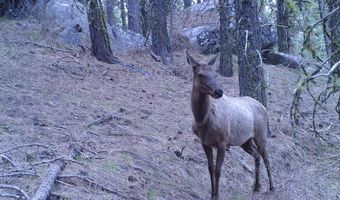 L16 B1 Lantern Way lot 16, Cascade, ID 83611