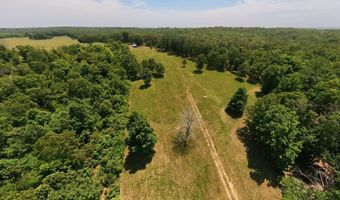 County Road 113, Alton, MO 65606