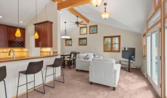 534 And 536 Spruce St 1 And 2, Aspen, CO 81611