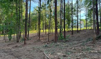 2061 White Rock Rd, Lincolnton, GA 30817
