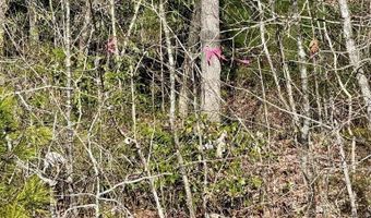 0 HWY 52 W, Beattyville, KY 41311