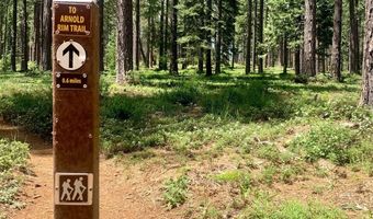 1546 Highway 4, Arnold, CA 95223
