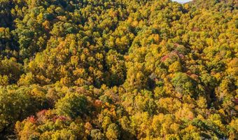 99999 Harwood Rd, Barnardsville, NC 28709