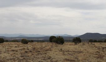 21 County Rd, Concho, AZ 85924