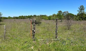 R13945 A0049 J Peterson Tract 11 Acres, Anderson, TX 77830