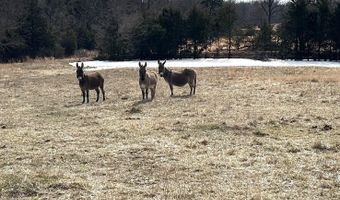 1522 County Road 404, Alton, MO 65606