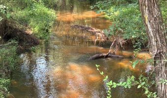 Luke Road lot 02, Ashburn, GA 31714