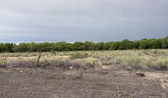 Winery Road, Bosque, NM 87006