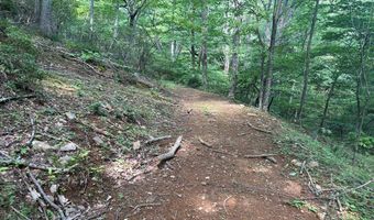 281 Scotts Branch Rd, Amherst, VA 24521