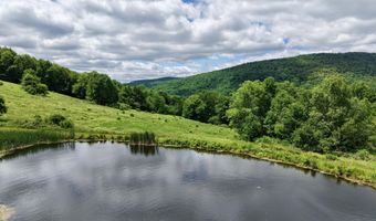 240 Dowie Rd, Andes, NY 13731