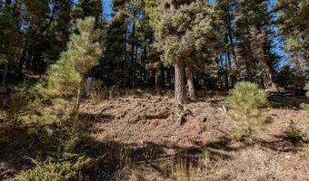 Back Basin Rd lot 145, Angel Fire, NM 87710