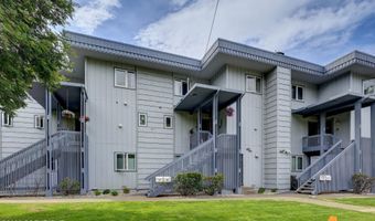 824 O Pl #824, Anchorage, AK 99501