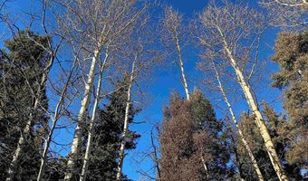 Lot 722 Santo Domingo Trail, Angel Fire, NM 87710