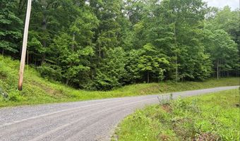 Tdb Cove Creek Rd, Bastian, VA 24314