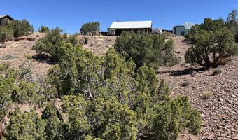 22 N9235, Concho, AZ 85924