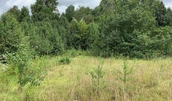 7322 Tribble Gap Xrd, Alto, GA 30510