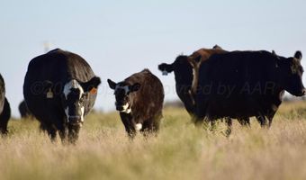 State Highway 214, Adrian, TX 79001