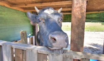 715 FAZZINI Rd, Babson Park, FL 33827