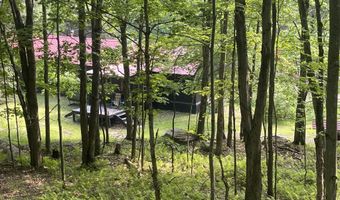 66 Blackberry Ln, Andes, NY 13731