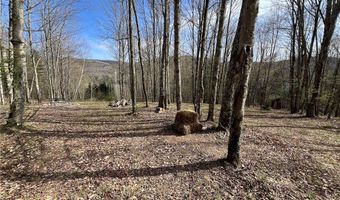 State Highway 30, Andes, NY 13731